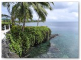 Taveuni View